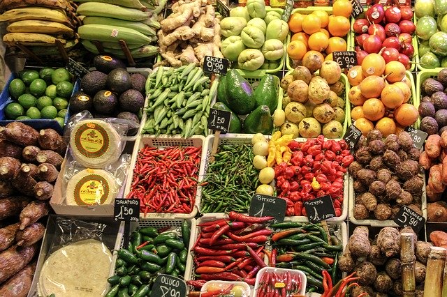 Naturkost Elkershausen – Blick hinter die Kulissen eines Bio-Großhandels
