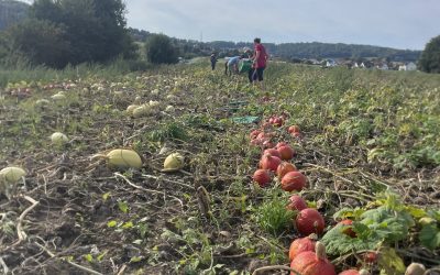 Gemeinsame Solawi-Aktion im Rahmen der Regio-Challenge