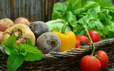 Unterstützung für die Regio Challenge 2026 gesucht