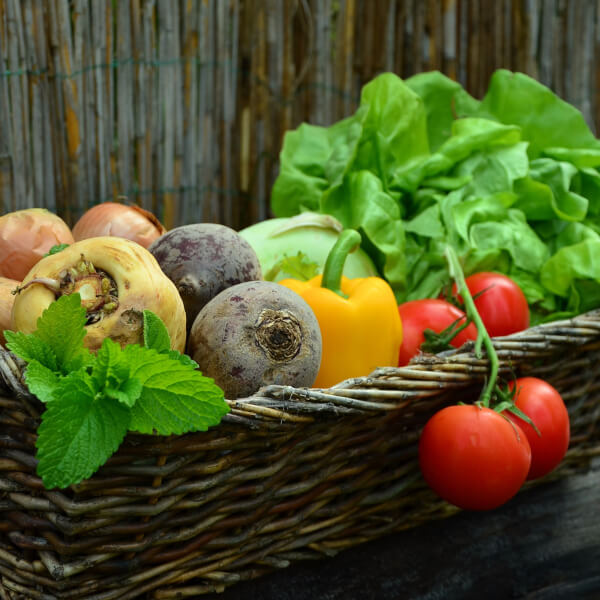 Gemüse aus eigener Ernte