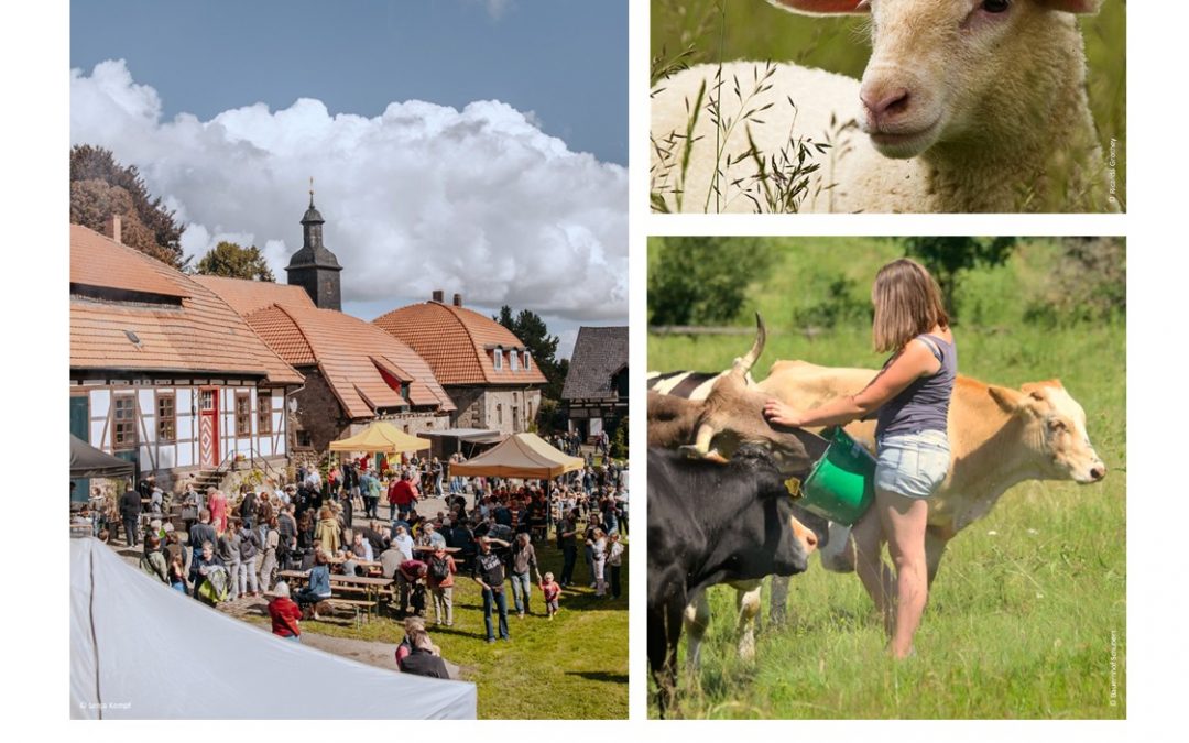 Radtour zum Schäferfest in Klein Schneen