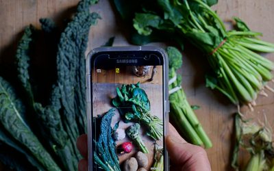 Gesucht: Social Media Manager*in beim Ernährungsrat Göttingen