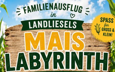 Landliesels Maislabyrinth in Klein Schneen