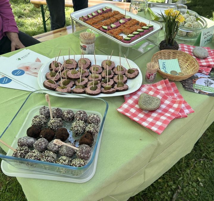 Veggietag Göttingen – veganes Mitbringpicknick