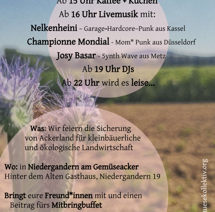 Ackerfest beim Gemüsekollektiv Hebenshausen