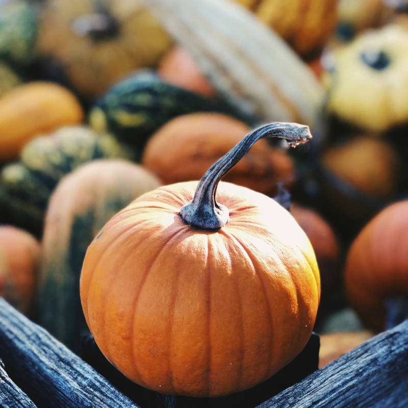 Herbstküche